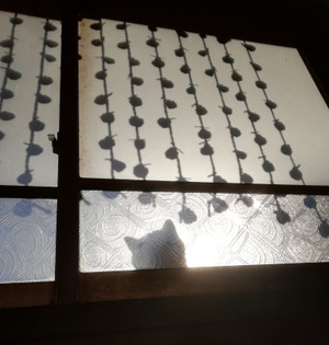 Photo_3